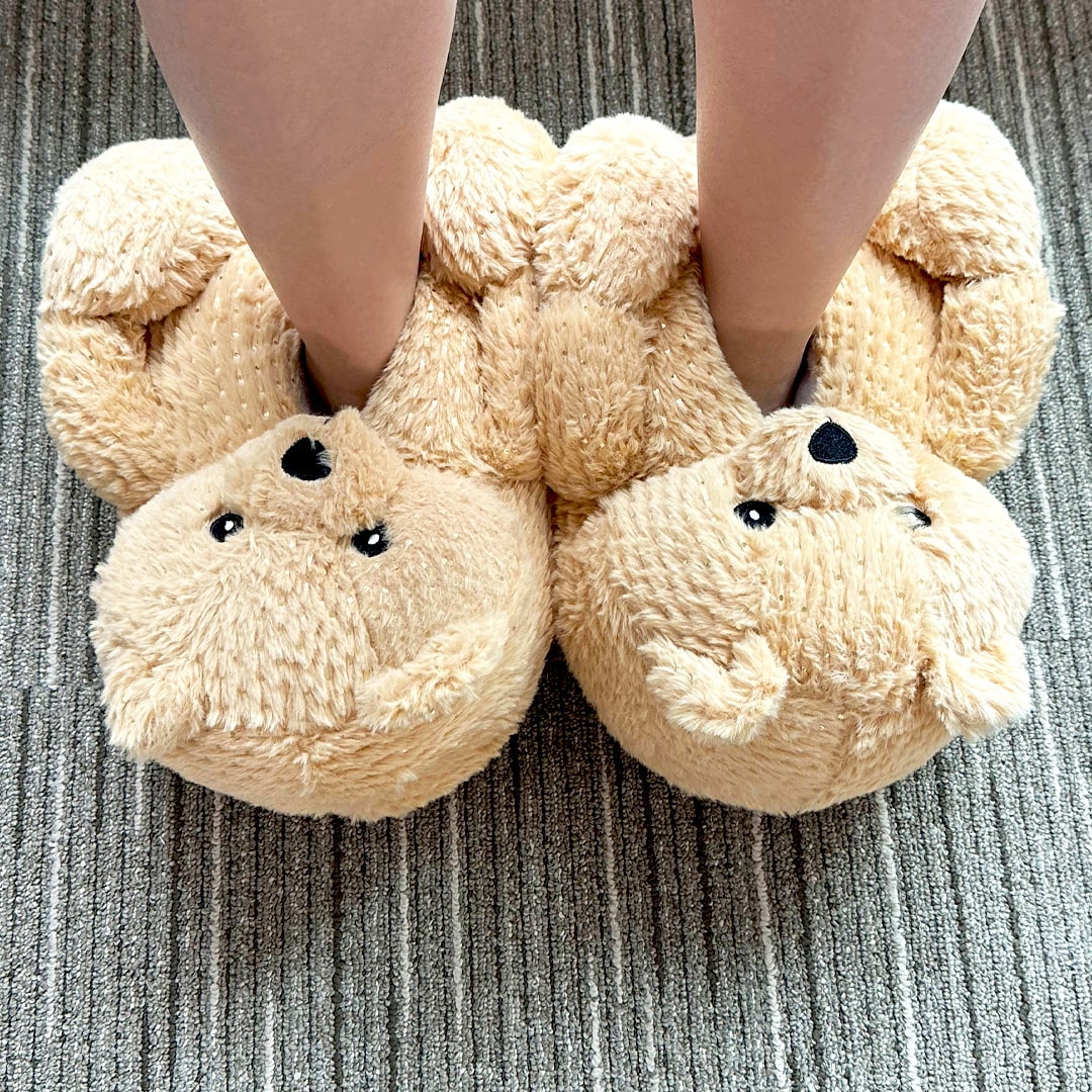 Teddy Bear Slippers | Cute & Comfy House Slippers | My Sockmates