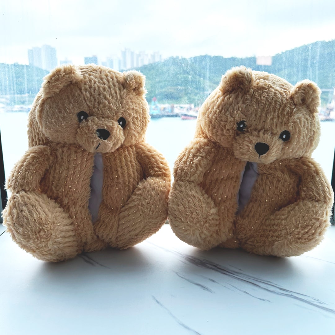 Teddy Bear Slippers for Adults | Cute & Plush House Slippers | My Sockmates