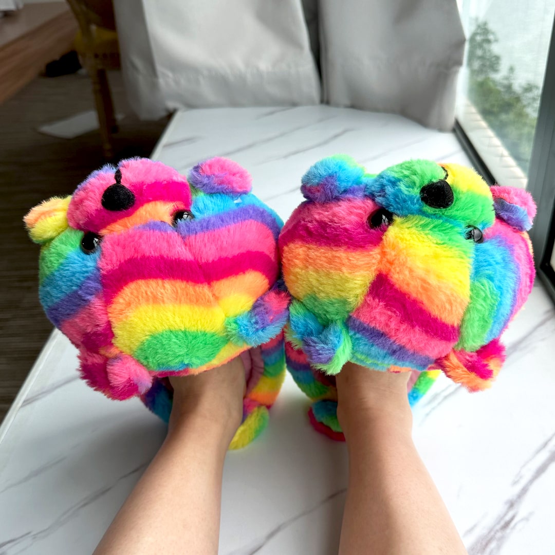 Rainbow Pride Teddy Bear House Slippers | My Sockmates