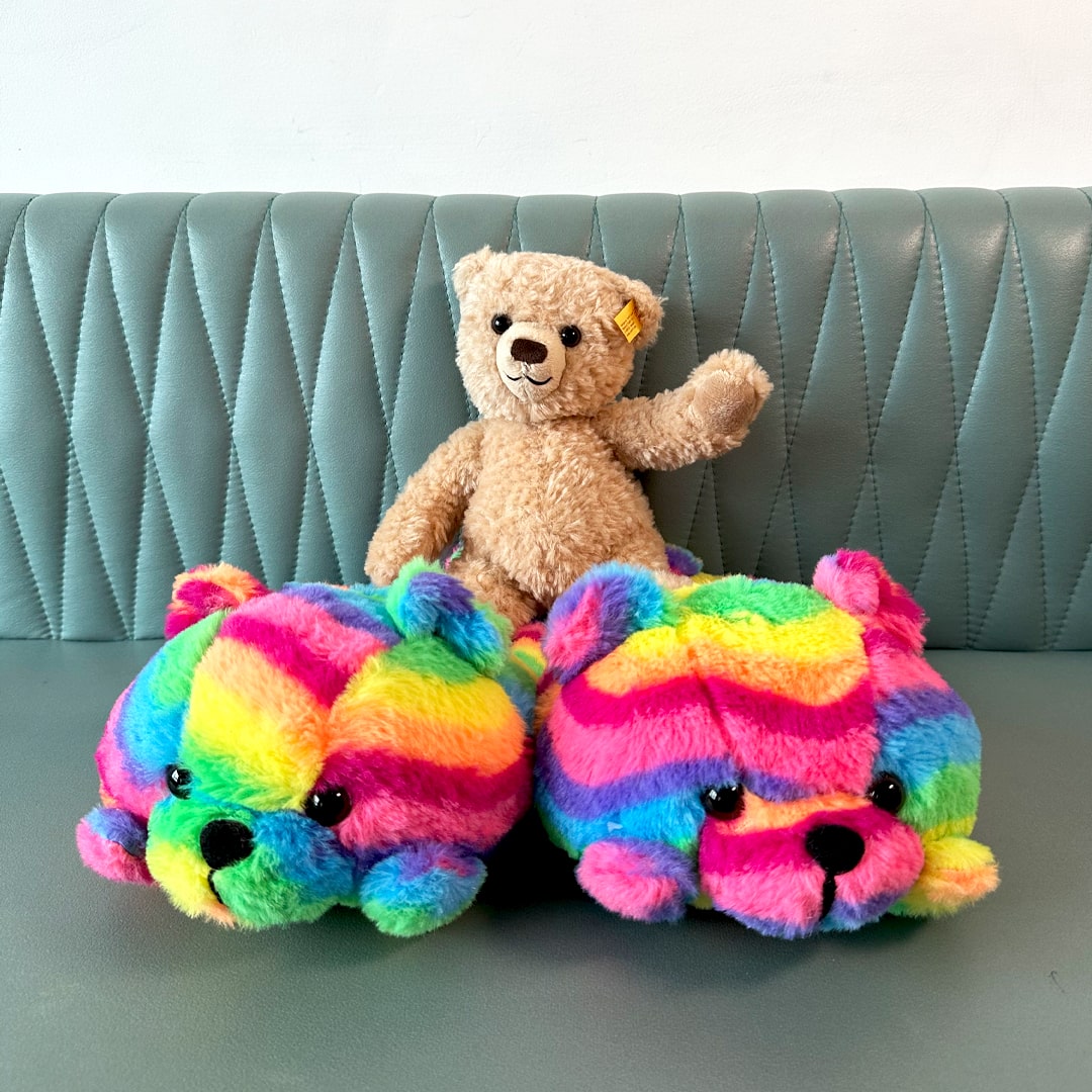 Rainbow Pride Teddy Bear House Slippers | My Sockmates