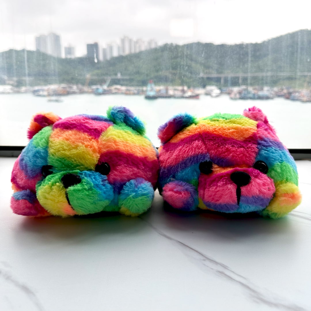 Rainbow Pride Teddy Bear House Slippers | My Sockmates