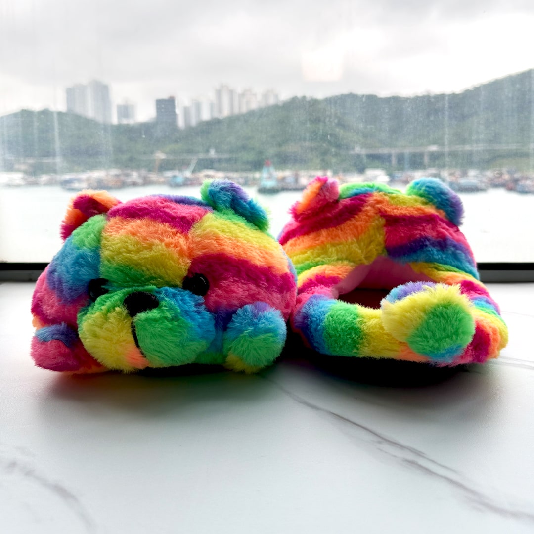 Rainbow Pride Teddy Bear House Slippers | My Sockmates